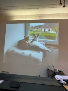 WhatsApp Image 2025-11-06 at 00.26.18 (8)